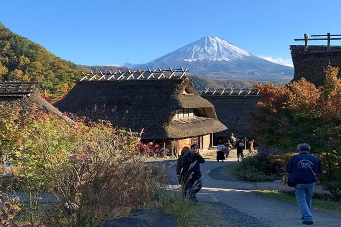 Mount Fuji and Hakone Full Day Private Sightseeing Tour - Discovering Hakone