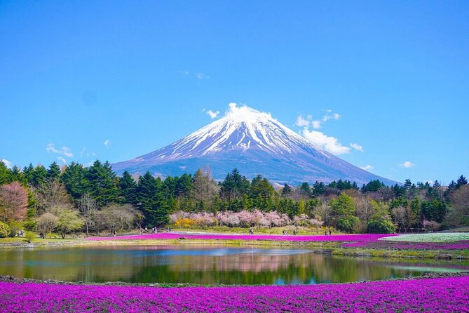 Mount Fuji Day Trip From Tokyo With English Speaking Chauffeur - What to Expect on the Mount Fuji Day Tour