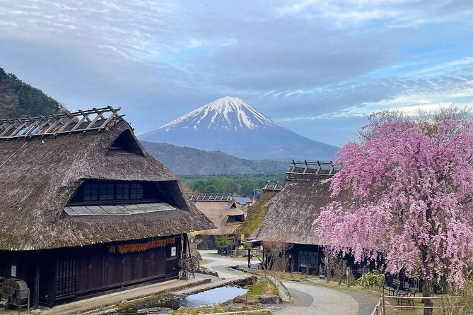 Mount Fuji Four Iconic Scenic Spots Day Tour From Tokyo - Tour Schedule and Itinerary