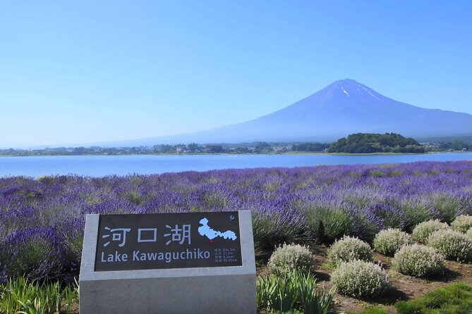 Mount Fuji Full Day Tour Form Tokyo Lake Kawaguchi & Yamanaka - Returning to Tokyo