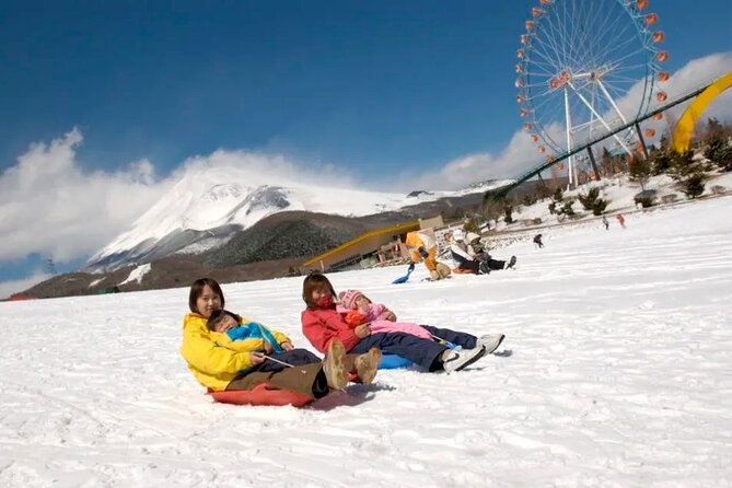 Mt Fuji and Hakone One Day Tour Departure From Tokyo With Lunch - Lunch and Dining