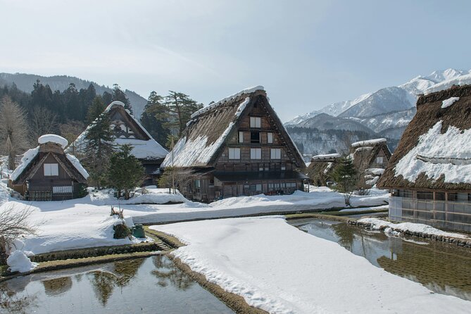Mt. Fuji and Hakone Private Day Tour With English Speaking Guide - Customizing Your Experience