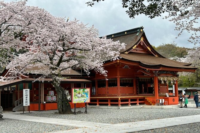 Mt. Fuji Area Tour From Shimizu Port / Medium Bus - Things to Note