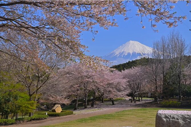 Mt. Fuji Cherry Blossom and Shibasakura Festival Tour - Tips for an Unforgettable Tour