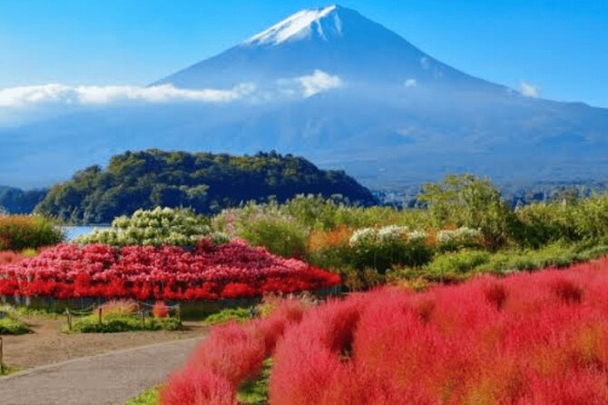 Mt Fuji/Hakone Private Tour From Tokyo/Yokohama - Explore the Stunning Scenery of Hakone