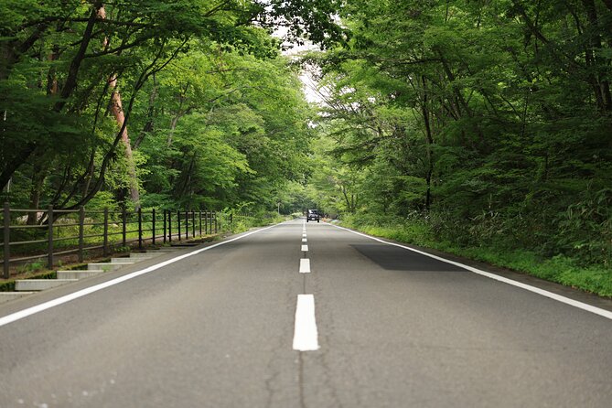 Mt. Fuji Luxury Getaway and Hakone Adventure by Private Car - Booking and Reservation