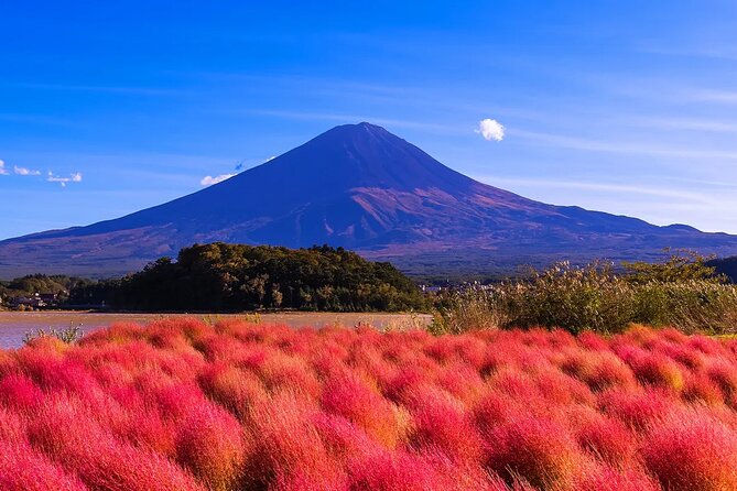 Mt Fuji Scenic Views and Lake Kawaguchi Floral Tour From Tokyo - Tour Duration and Scheduling