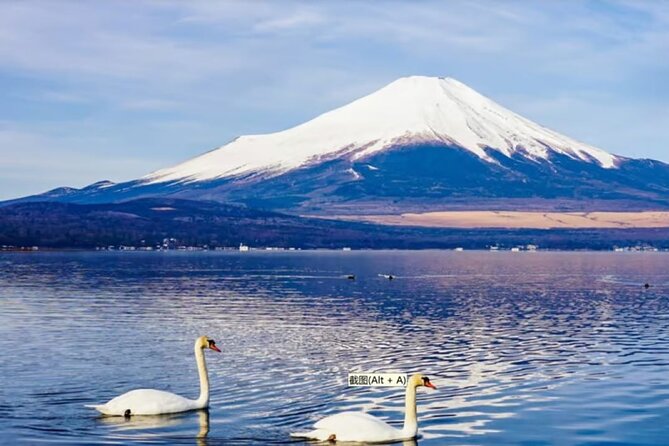 Mt. Fuji to Lake Kawaguchi, Lake Yamanaka and Onsen Day Tour - Relaxing at the Onsen