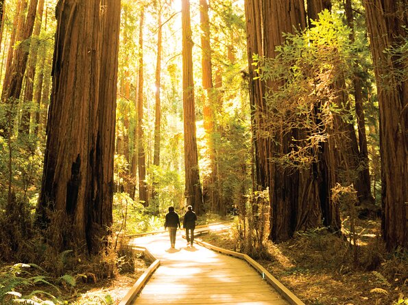 Muir Woods & Sausalito Tour - Preparing for Your Tour