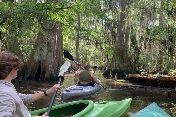 Mystical Private Kayak and Canoe Tours on Caddo Lake - The Sum Up