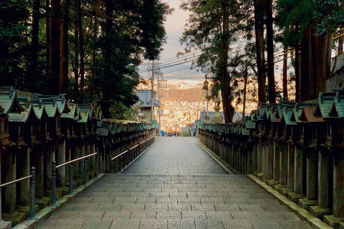 Nara Adventure: Todaiji, Kasuga Shrine, Nara Park, Hozanji Temple - What to Expect