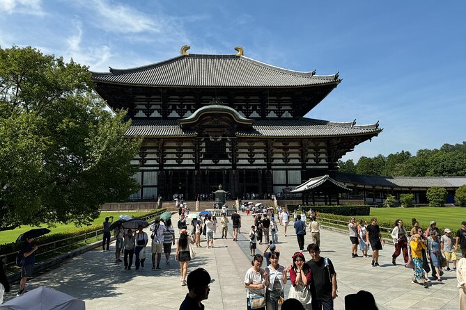 Nara: Half-Day Private Tour of 4 Must-See Spots & Deer Park - Interacting With Wild Deer