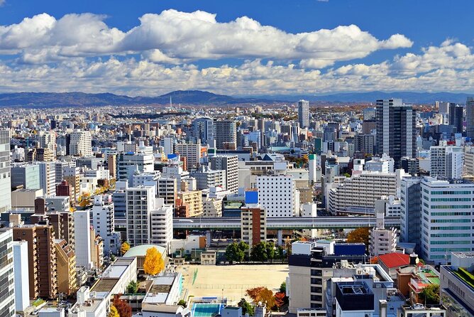 Narita Airport to Nagoya City Japan Private Transfer - Contact Information and Flight Delay Procedures