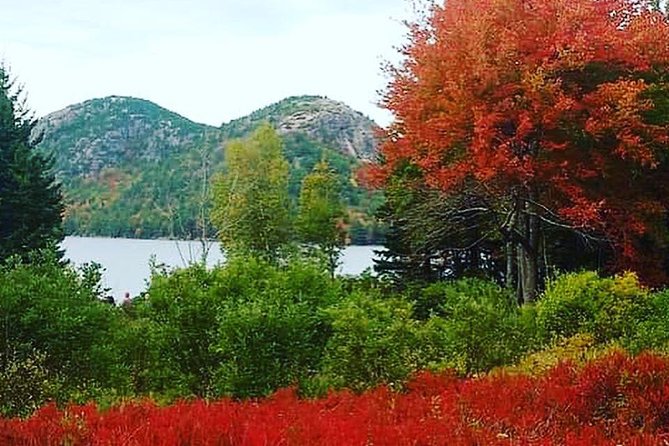 Narrated Bus Tour of Bar Harbor and Acadia National Park - Ideal Timing for Peak Experiences
