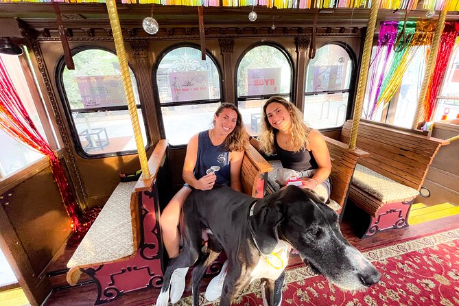 Narrated Scenic Trolley Tour in Minneapolis, Minnesota - Making the Most of Your Minneapolis Visit