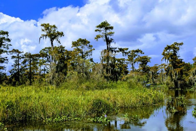 New Orleans Large Airboat Swamp Tour - Educational Insights From the Tour Guide