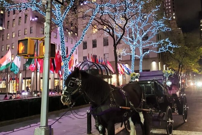 New York City Christmas Lights Private Horse Carriage Ride - Considerations for Travelers