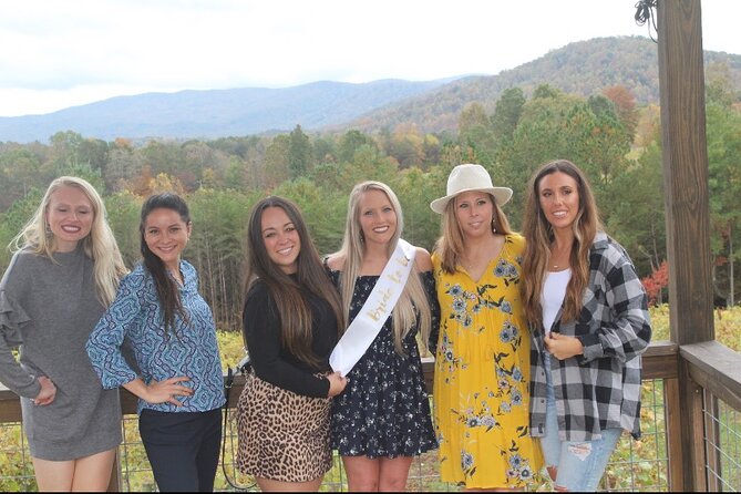 North Georgia Mountains Three Vineyard Wine Tasting Tour - The Sum Up