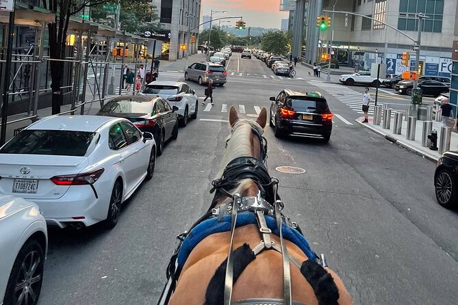 NYC Horse and Carriage Central Park Tours - Advantages of a Private Tour