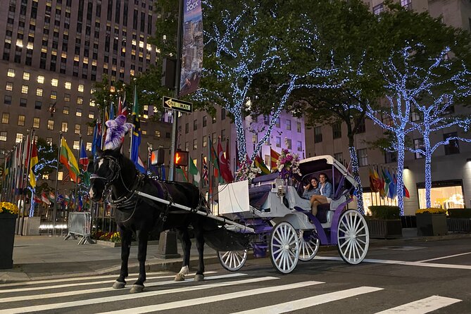 NYC Rockefeller Center Christmas Lights Horse Carriage Ride - Tips for an Unforgettable Experience