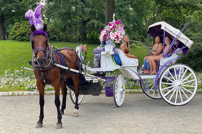 OFFICIAL NYC Central Park Horse Carriage Rides - Why Choose This Experience