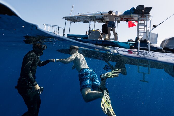 Offshore Safari Adventure in Kona With Underwater Photos - Booking Your Offshore Safari Adventure