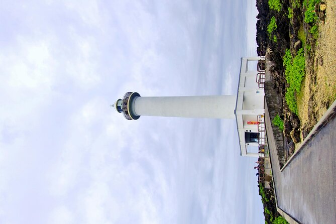 Okinawa Private Full Day Tour With Daily Chauffeur - About Carzenplus Tour Operator
