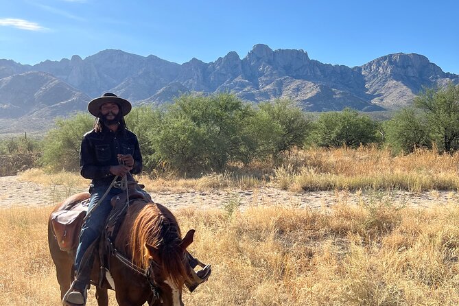 One Hour Guided Horseback Ride - The Sum Up