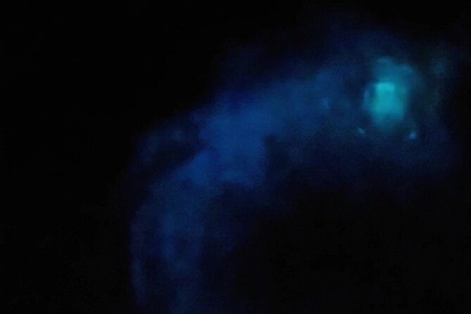 Orlando Bioluminescence Kayak and Swim Adventure - Traveler Feedback and Recommendations