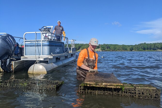 Oyster Tasting and Kayak Tour - Customer Reviews and Ratings