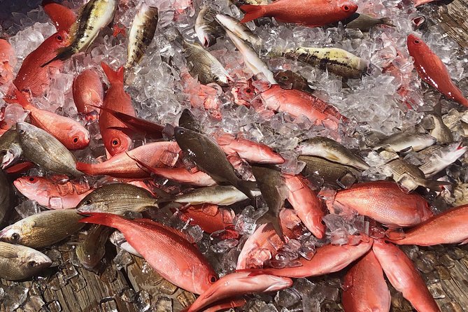 Party/Walk-On Fishing Trip - Cancellation Policy and Booking Information