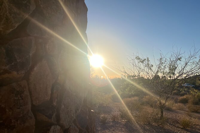 Peaceful Nature Walk. Botanical Tour of the Sonoran Desert. - Booking and Transportation
