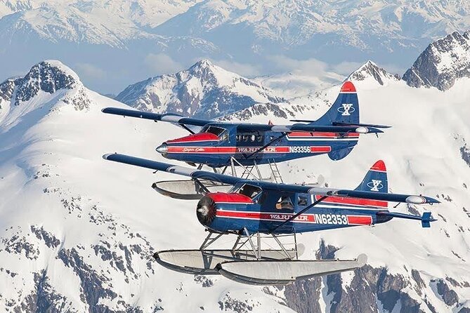 Peak Season Bear Viewing By Seaplane - The Sum Up