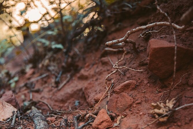 Pikes Peak COG Railway & Garden of Gods Tour - Preparing for the Adventure