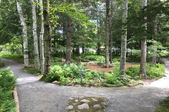 Premium Narrated Bus Tour of Bar Harbor and Acadia National Park (3.5 Hours) - Making the Most of Your Visit