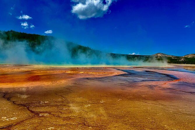 Private All-inclusive Yellowstone Lower Loop"The Volcano" Tours - Customer Testimonials