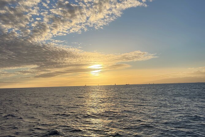 Private Boat Cruise of Waikiki! Snorkel, Sightseeing, Sea Life! - Customer Reviews and Feedback