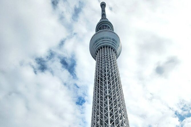 Private Custom Tokyo Tour With a Tokyo Resident Pro Guide by Car - Highlights of the Private Tour