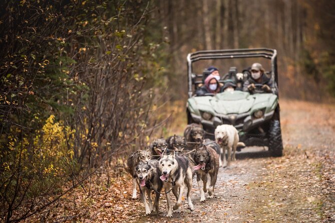 Private Fall Foliage Mushing Cart Ride in Fairbanks - How to Book