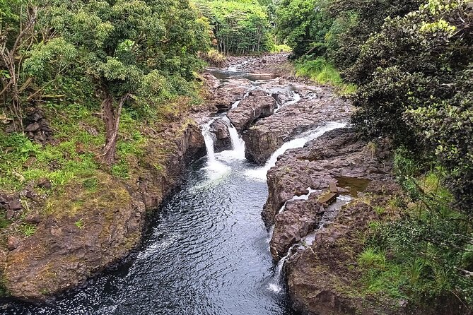 Private Hilo Shore Excursion Volcano National Park up to 14 - The Sum Up