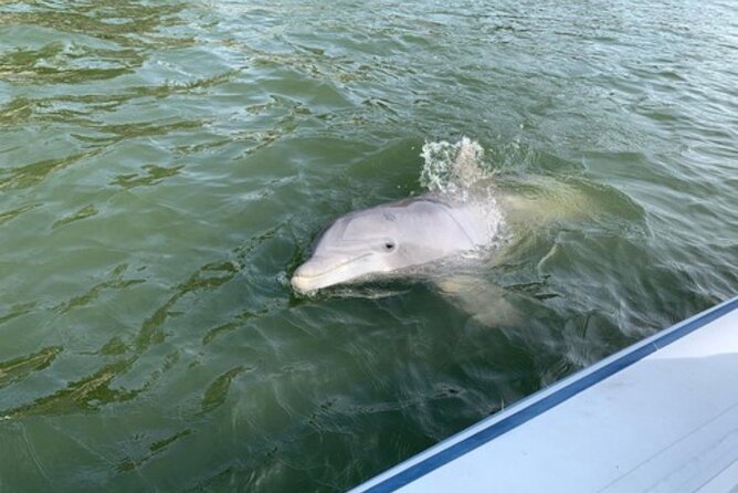 Private Hilton Head Dolphin Tour - Booking and Cancellation Policy
