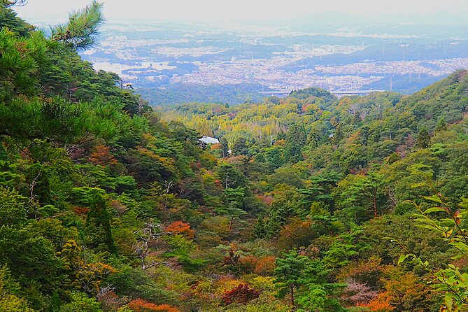 Private Historic Road Hike in the Healing Forest of Arima - Highlights of the Private Hiking Experience