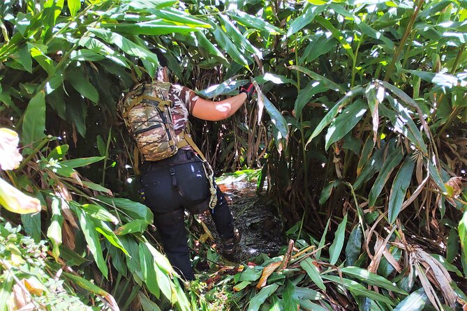 Private Jungle Waterfall Adventure, Wit Da Native Hawaiian Dundee - Memorable Highlights of the Tour