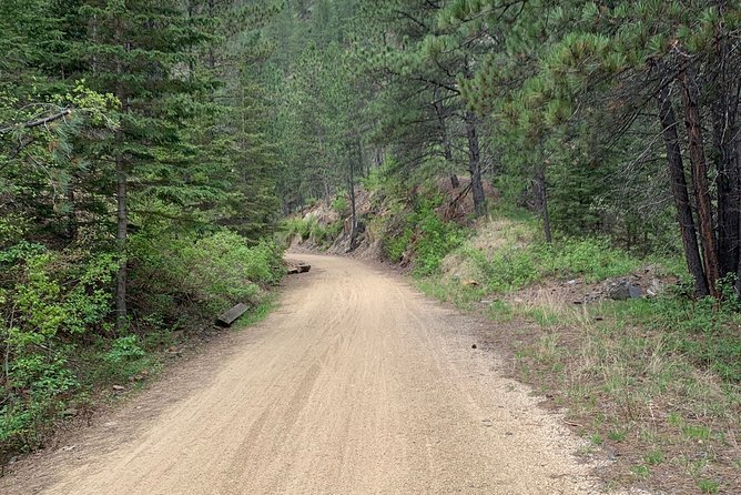 Private Mickelson Trail Bicycling Tour - Customer Reviews and Experiences