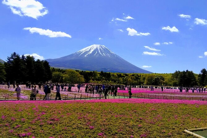 Private Mount Fuji Day Trip From Tokyo by Car - Cancellation Policy