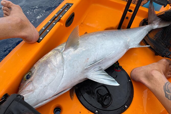 Private Pelagic Kayak Fishing Charter Lahaina - The Sum Up