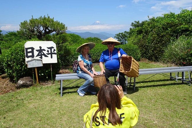 Private Shizuoka Tour From Shizuoka Station / Sedan Taxi - Customizing Your Private Tour Experience