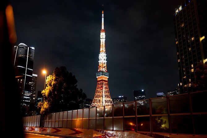 Private Tokyo Culture Tour by Car - Customization and Considerations