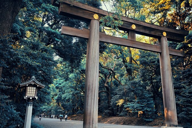 Private Tokyo Walk With Young Local /Photo Gift /Only Group Fee - Additional Information