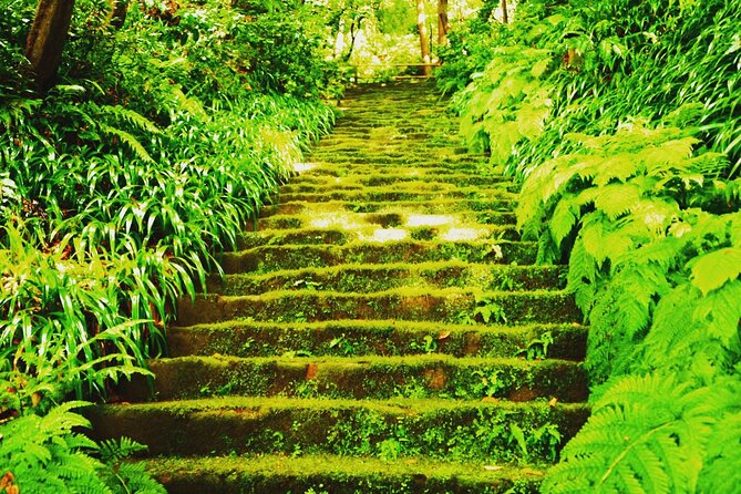 Private Tour of the Ancient Capital Kamakura From Tokyo - What to Expect on the Kamakura Tour